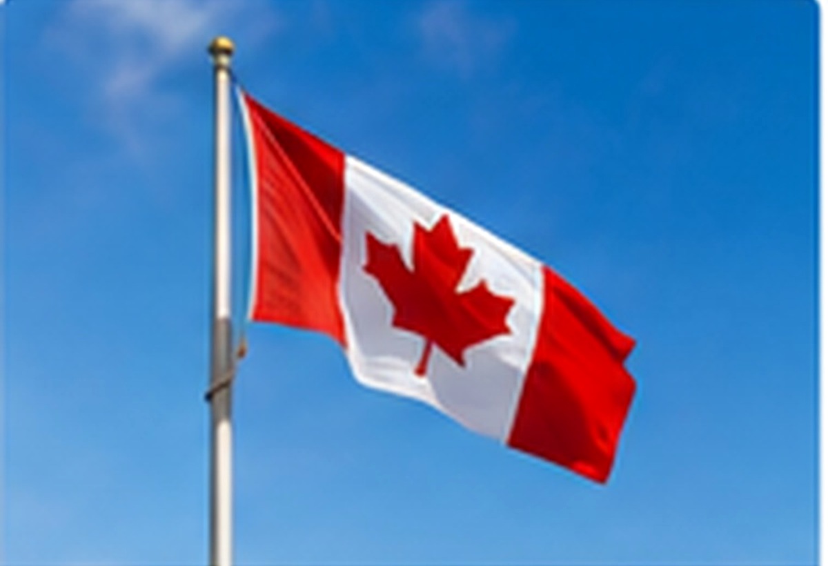 Flagpole Maintenance - Trico Holdings service